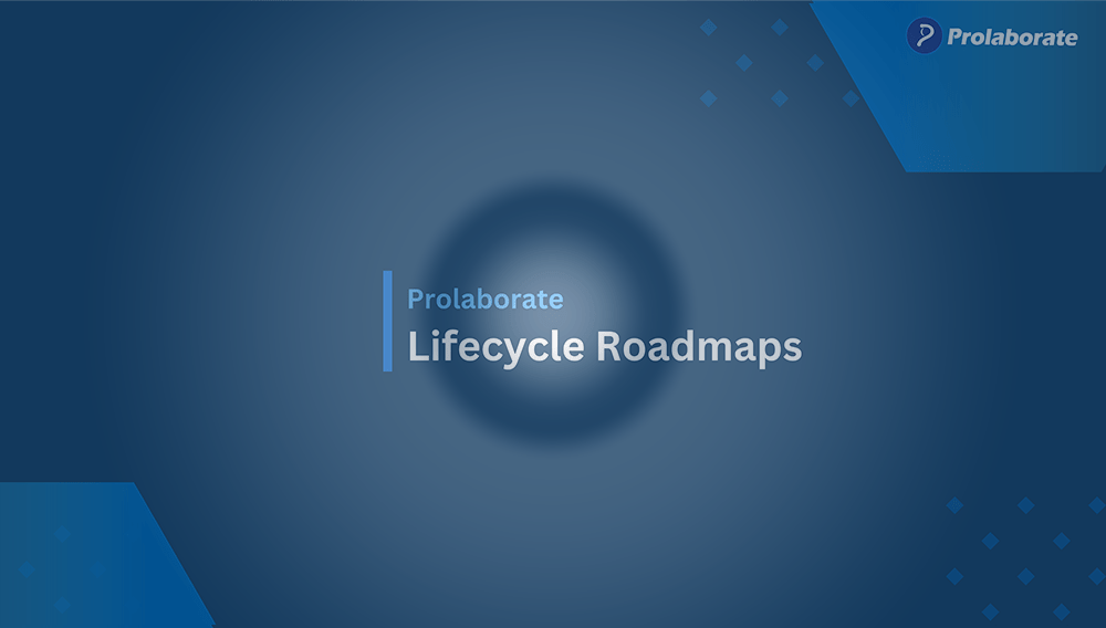 Lifecycle-Road-Map